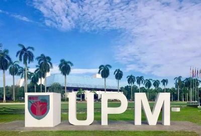 他们为什么选择去马来西亚留学?