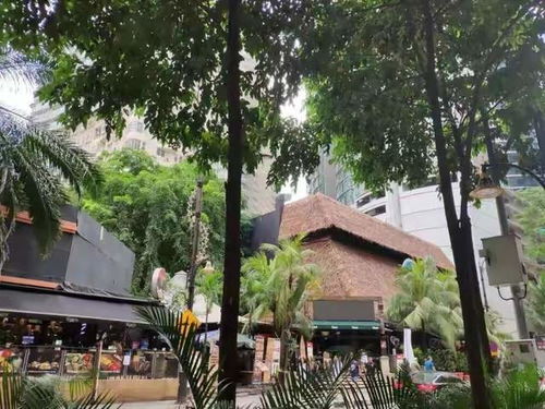 干货 马来西亚留学 前五公立的硕士申请现状