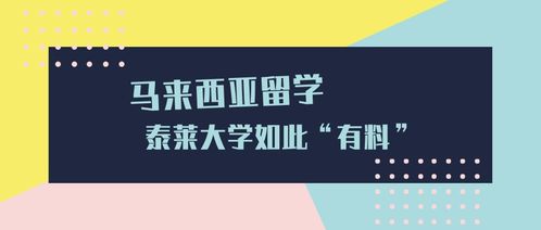 马来西亚留学 英迪大学与泰莱大学商科本科对比及硕士申请欧美港校优劣势分析